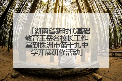 湖南省新时代基础教育王岳名校长工作室到株洲市第十九中学开展研修活动