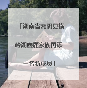 湖南省湘阴县横岭湖麋鹿家族再添三名新成员