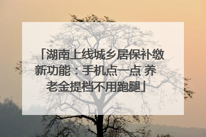湖南上线城乡居保补缴新功能：手机点一点 养老金提档不用跑腿