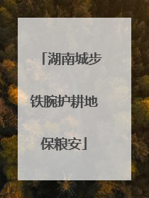 湖南城步铁腕护耕地保粮安