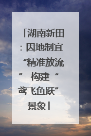 湖南新田：因地制宜“精准放流” 构建“鸢飞鱼跃”景象