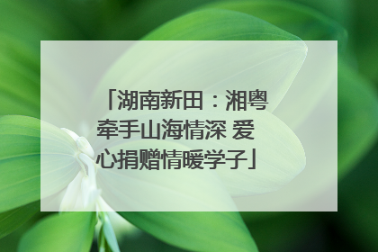 湖南新田：湘粤牵手山海情深 爱心捐赠情暖学子