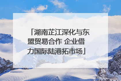 湖南芷江深化与东盟贸易合作 企业借力国际陆港拓市场