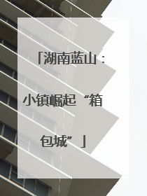 湖南蓝山：小镇崛起“箱包城”