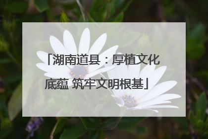 湖南道县：厚植文化底蕴 筑牢文明根基