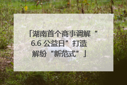 湖南首个商事调解“6.6 公益日”打造解纷“新范式”