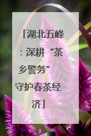 湖北五峰：深耕“茶乡警务” 守护春茶经济