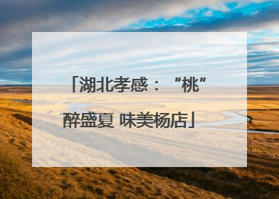 湖北孝感：“桃”醉盛夏 味美杨店