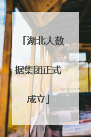 湖北大数据集团正式成立