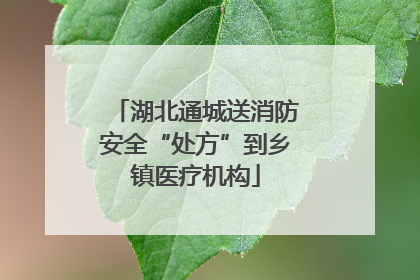 湖北通城送消防安全“处方”到乡镇医疗机构