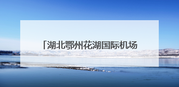 湖北鄂州花湖国际机场开通4条“荔枝航线”