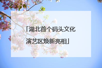 湖北首个码头文化演艺区焕新亮相