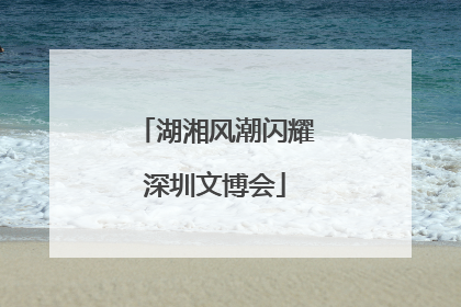 湖湘风潮闪耀深圳文博会