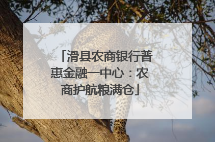 滑县农商银行普惠金融一中心：农商护航粮满仓