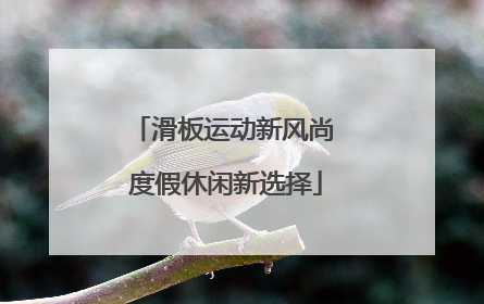 滑板运动新风尚 度假休闲新选择