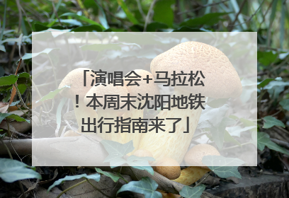 演唱会+马拉松！本周末沈阳地铁出行指南来了