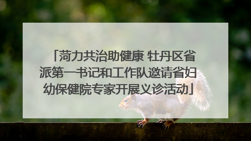菏力共治助健康 牡丹区省派第一书记和工作队邀请省妇幼保健院专家开展义诊活动