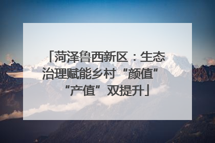 菏泽鲁西新区：生态治理赋能乡村“颜值”“产值”双提升