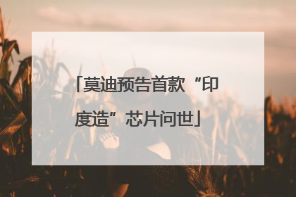 莫迪预告首款“印度造”芯片问世