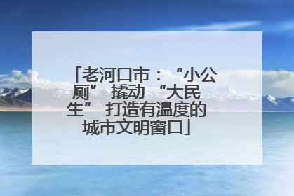 老河口市：“小公厕” 撬动 “大民生” 打造有温度的城市文明窗口