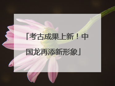 考古成果上新！中国龙再添新形象