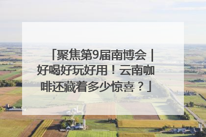 聚焦第9届南博会｜好喝好玩好用！云南咖啡还藏着多少惊喜？