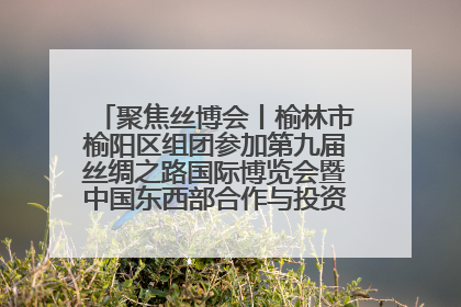 聚焦丝博会丨榆林市榆阳区组团参加第九届丝绸之路国际博览会暨中国东西部合作与投资贸易洽谈会