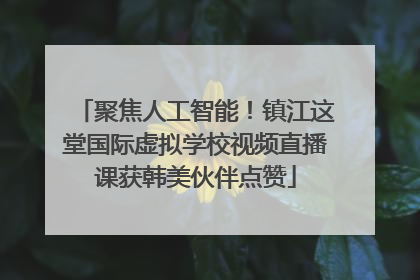 聚焦人工智能！镇江这堂国际虚拟学校视频直播课获韩美伙伴点赞