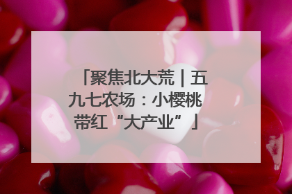 聚焦北大荒｜五九七农场：小樱桃带红“大产业”