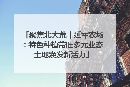 聚焦北大荒｜延军农场：特色种植带旺多元业态 土地焕发新活力