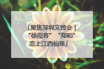 聚焦深圳文博会｜“徐霞客”“郑和”恋上江西仙草