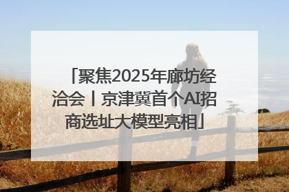 聚焦2025年廊坊经洽会丨京津冀首个AI招商选址大模型亮相