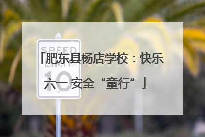 肥东县杨店学校：快乐六一 安全“童行”