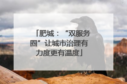 肥城：“双服务圈”让城市治理有力度更有温度