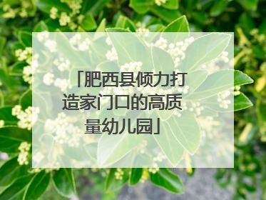 肥西县倾力打造家门口的高质量幼儿园