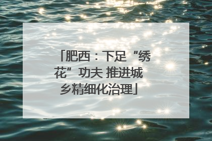 肥西：下足“绣花”功夫 推进城乡精细化治理