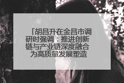 胡昌升在金昌市调研时强调：推进创新链与产业链深度融合 为高质量发展塑造新动能新优势