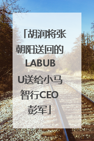 胡润将张朝阳送回的LABUBU送给小马智行CEO彭军
