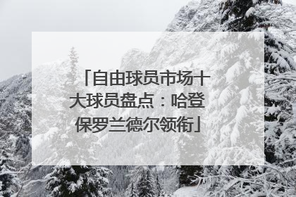 自由球员市场十大球员盘点：哈登保罗兰德尔领衔