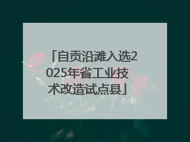 自贡沿滩入选2025年省工业技术改造试点县