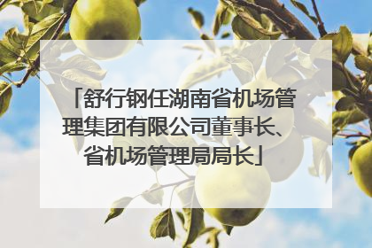 舒行钢任湖南省机场管理集团有限公司董事长、省机场管理局局长