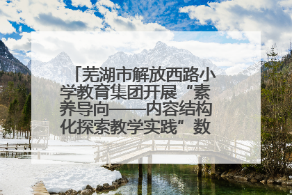 芜湖市解放西路小学教育集团开展“素养导向——内容结构化探索教学实践”数学专题研讨活动