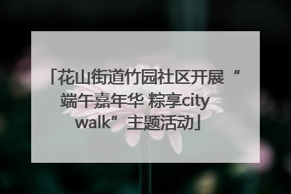 花山街道竹园社区开展“端午嘉年华 粽享city walk”主题活动