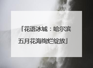 花语冰城：哈尔滨五月花海绚烂绽放