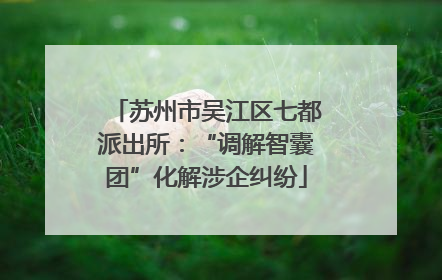 苏州市吴江区七都派出所：“调解智囊团”化解涉企纠纷