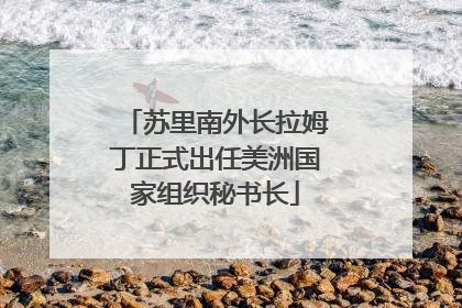 苏里南外长拉姆丁正式出任美洲国家组织秘书长