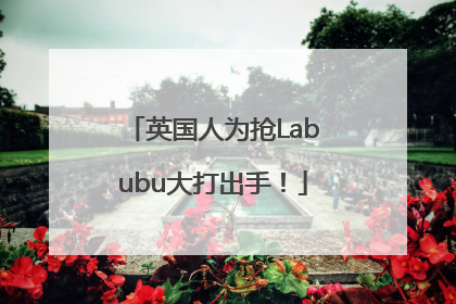 英国人为抢Labubu大打出手！