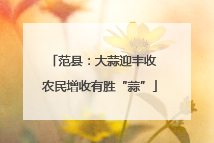 范县：大蒜迎丰收 农民增收有胜“蒜”
