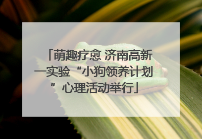 萌趣疗愈 济南高新一实验“小狗领养计划”心理活动举行