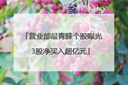 营业部最青睐个股曝光 3股净买入超亿元